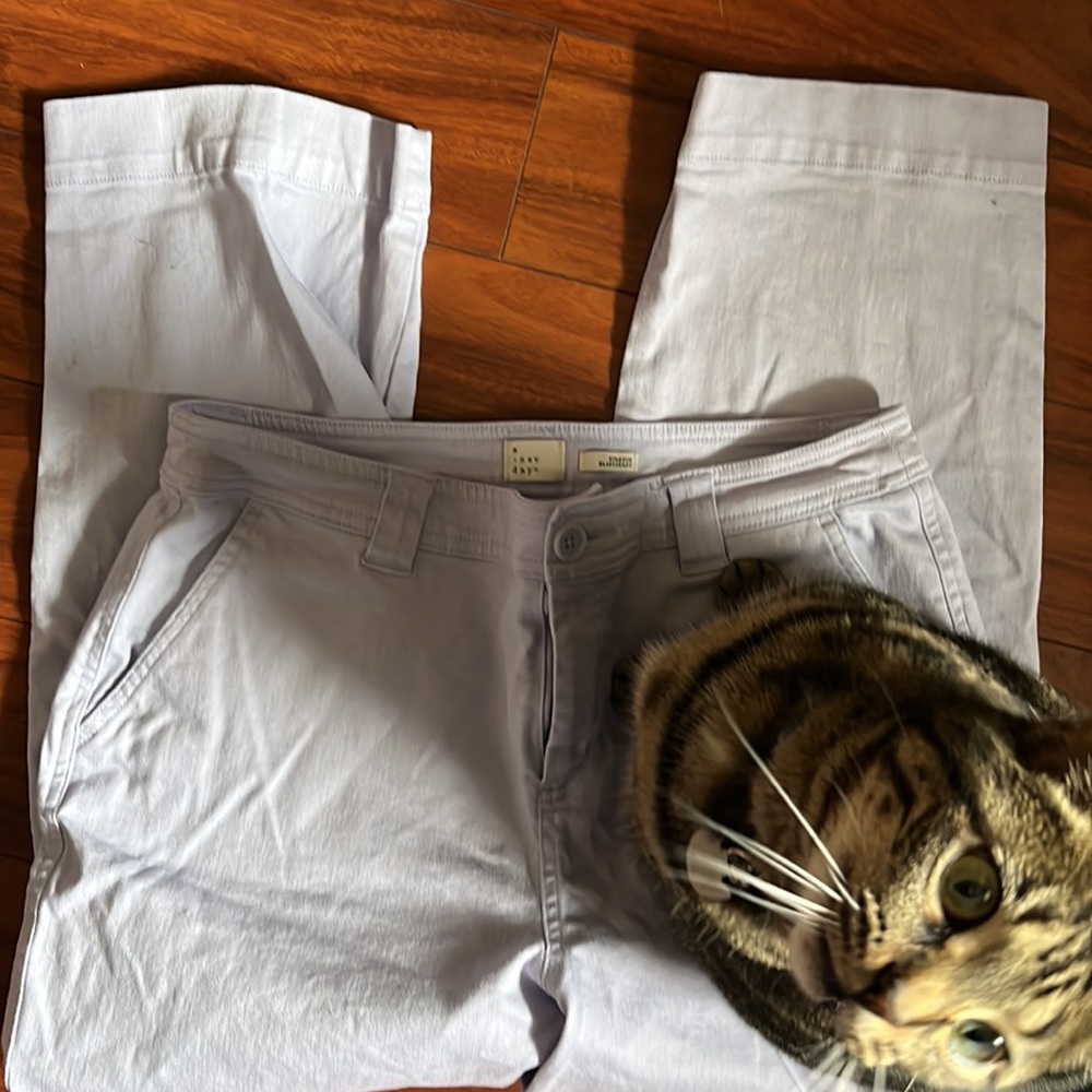 Lavender size 12 crop pants - Picture 4 of 4